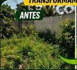 Limpeza de quintal